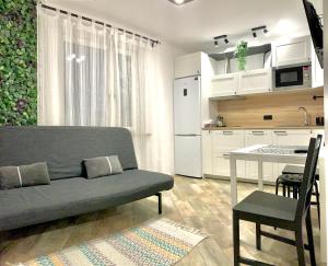 Kuchyňa alebo kuchynka v ubytovaní D&M Apart Interior Loft
