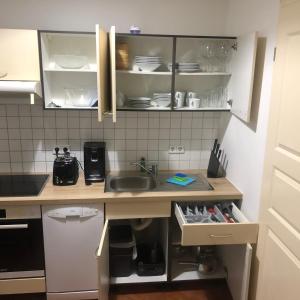 een keuken met een wastafel en een aanrecht bij Appartement Möwe mit 2 Zimmer im Zentrum Potsdams direkt an der Havel in Potsdam