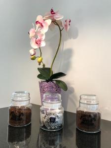 różowy kwiat w fioletowej wazie na stole w obiekcie D&M Apart Interior Styles w mieście Białystok