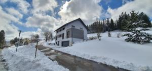 Ein weißes Haus im Schnee mit Schnee in der Unterkunft Adlernest in Feldberg