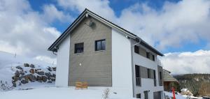 Adlernest im Winter