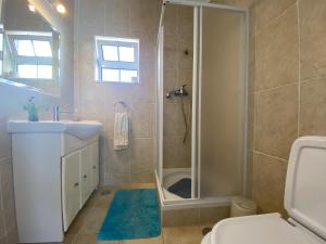 a bathroom with a shower and a sink and a toilet at Lagos Marina Guest House in Lagos