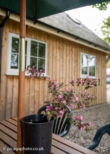 a potted plant sitting on a table in front of a house at Loch Ness Studio Blairbeg in Drumnadrochit