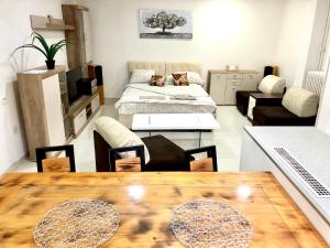 Gallery image of Apartment on a river avenue in Pančevo