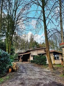 a house with a driveway in front of it at Forest Guesthouse in Bergentheim