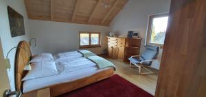 ein Schlafzimmer mit einem Bett und einem Stuhl und einem Fenster in der Unterkunft Adlernest in Feldberg