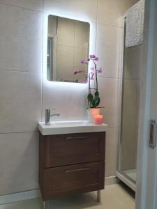 a bathroom with a sink and a mirror at The Plaza Suites High St Bangor in Bangor