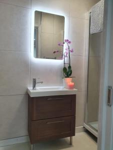 a bathroom with a sink and a mirror at The Plaza Suites High St Bangor in Bangor +13 photos