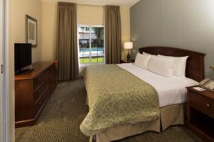 モンテレイにあるStaybridge Suites Monterrey San Pedro, an IHG Hotelのベッドとテレビが備わるホテルルームです。