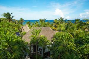 a view of a resort with palm trees and the ocean at Playa Selva in Tulum