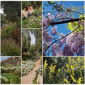 Giardino di Domaine La Source