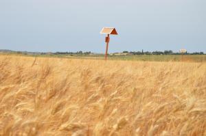 Fotografia z galérie ubytovania Cortijo Las Manoteras v destinácii El Puerto de Santa María