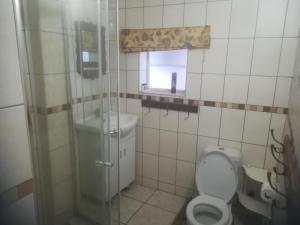 a bathroom with a shower and a toilet and a window at NOU TOE NOU in Tergniet +16 photos