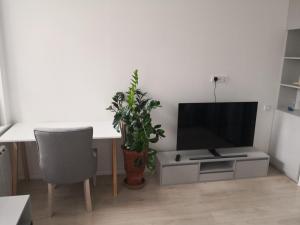 a living room with a desk with a television and a plant at Mario Studio in Vilnius +5 photos