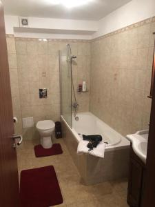 a bathroom with a tub and a toilet and a sink at Predeal Fine Apartaments Clabucet in Predeal +44 photos
