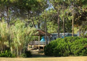 Camping San Damiano外面的花园