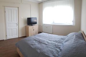 Schlafzimmer mit einem Bett und einem Flachbild-TV in der Unterkunft Chill Apartman in Komárom