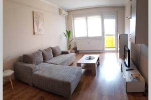 a living room with a couch and a tv at Chill Apartman in Komárom