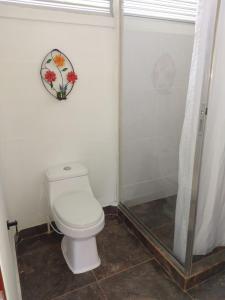 La salle de bains est pourvue d'une douche et de toilettes blanches. dans l'établissement Cabaña Encanto de Luna, à San Francisco