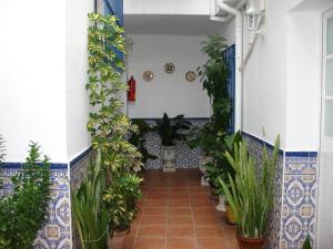 a large garden with plants and plants in it at Hostal San Ramon in Marbella