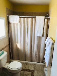 a bathroom with a shower curtain and a toilet at The Sunview Motel in Tannersville