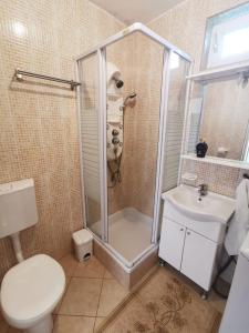 a bathroom with a shower and a toilet and a sink at VILLAGE apartment in Zagvozd