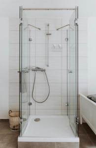 a shower with a glass enclosure in a bathroom at Pension Dorotheenhof in Leun