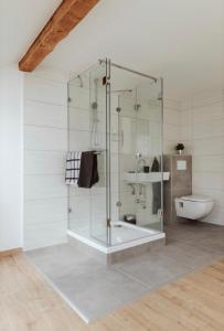 a bathroom with a glass shower and a sink at Pension Dorotheenhof in Leun