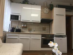 Kuchyň nebo kuchyňský kout v ubytování Apartment Hlinská