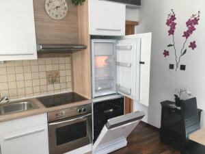 Kuchyň nebo kuchyňský kout v ubytování Apartment Hlinská