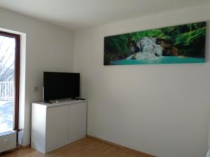 Μια τηλεόραση ή/και κέντρο ψυχαγωγίας στο Apartment with Terrace