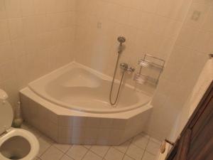 卡爾斯坦的住宿－皇后達格瑪酒店，带浴缸和卫生间的浴室。
