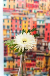 Fotografie z fotogalerie ubytování Casa Io - Bica v destinaci Mindelo