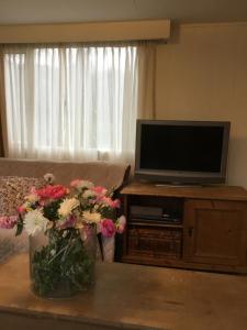 un soggiorno con TV e fiori su un tavolo di Cornerhouse nr 75 a Heijen