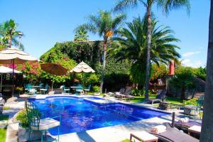 a swimming pool with chairs and umbrellas and palm trees at Las Calandrias in Atlixco