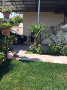 Zahrada ubytování Hasanovs Villa