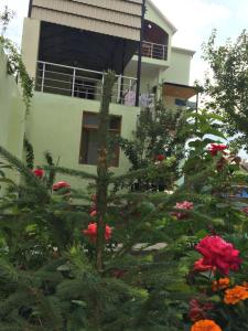 Zahrada ubytování Hasanovs Villa