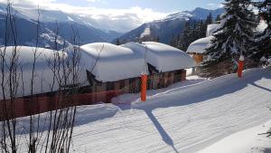 "Chalet le Dahlia - 4 Vallees" v zimě