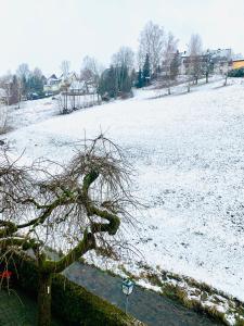 Pension Weiberwirtschaft in Pobershau v zimě