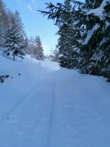 Gallery image of Pila vacanze in Gressan