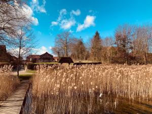 Gallery image of Fischhaus am Schaalsee in Zarrentin