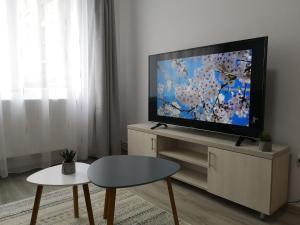 a living room with a flat screen tv on a cabinet at Cosy Elegant Apartment in Cehu Silvaniei