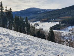 Príroda v okolí horskej chaty