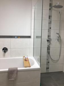 a bathroom with a shower and a bath tub at Schönblick in Pfronten +26 photos