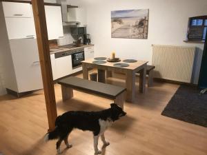 Kuchyň nebo kuchyňský kout v ubytování Stayhome Varel + 12 fotografií