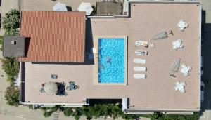 Bazén v ubytování Hotel Nel Pineto nebo v jeho okolí