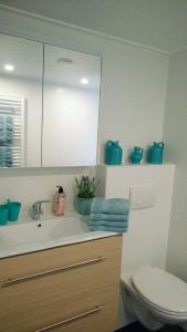 uma casa de banho com um lavatório, um WC e um espelho. em Modern en compleet chalet 22-15 em Putten