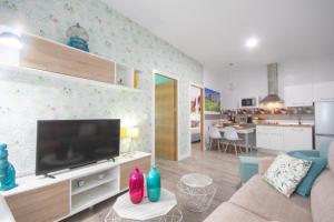 a living room with a large flat screen tv at Apartamentos Coso de San Albin in Merida