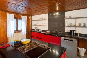 cocina con armarios rojos y fogones en Wald-Ferienhaus-Seefried, en Immenstadt im Allgäu