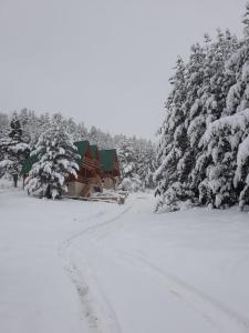 Afbeelding uit fotogalerij van Paradise Zabljak in Žabljak +35 foto's